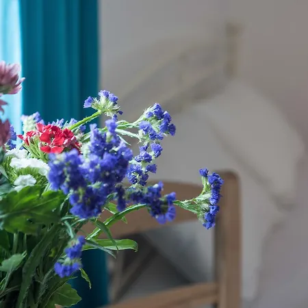 Depis Apartmán Naxos City